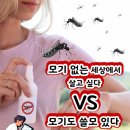 모기 없는 세상에서 살고 싶다 VS 모기도 쓸모 있다 이미지