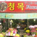 금정초등학교 이미지