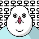 까망김하얀밥