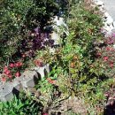 장흥슈퍼 이미지