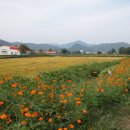 신천3리 이미지