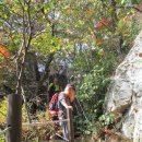 용문사 일주문 이미지