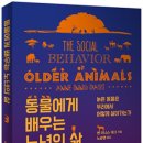 예스마이디어 이미지