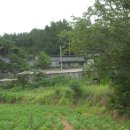 고향의 여름 이미지