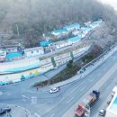 폴그린(fall green)