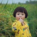 대한종합안전 이미지