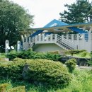 물안민박 이미지