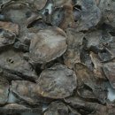 경희부자한의원 이미지