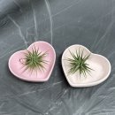 친환경 평생학습 - 옹기장이 | 경산시 평생학습 재능나눔 박람회 인기 체험 이오난사 하트화분 만들기 후기