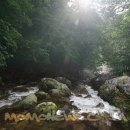 선인축산 이미지