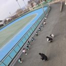 두리피아노학원 | 많은 일이 있었던 2월 봄방학 마지막주 바다맘 일상