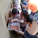 행복한닭농장 이미지