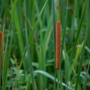 운길산역 이미지