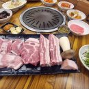 돼지30 이미지
