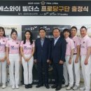 에스와이 이미지