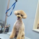 몽말순 이미지