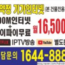 세화로134번길 이미지