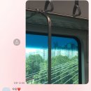 부산패션칼라노동조합 | 개강 싫어