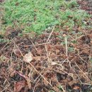 오미농장 이미지