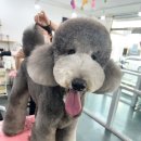 쁘리에숑 이미지