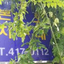 본오지구대 이미지