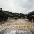 윤자운 사우 이미지