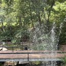 초리 포레스트 | 서울 근교여행 파주캠핑장 초리포레스트 팔각정 이용 후기