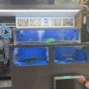 산호동200 | 마산 산호동 싸고 맛있는 맛집｜어판장 솔직후기 대방어 석화 칼국수 내돈내산