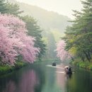 [서부] 나도바리스타A(2025) | [핫플 여행 코스] 강원도 영월군 핫플 여행 코스 추천 가이드 (2025년)
