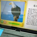크는나무이벤트 이미지