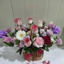 지하상가A | 요즘 가장 핫한 대전꽃집, 도우미꽃식물원 중앙로지하상가점 솔직후기