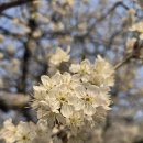 동강서원 | 경상북도 경주시 불산 마룡사(佛山 麻龍寺)