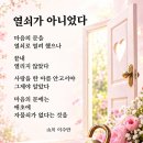 한국시낭송치유협회, 시낭송. 시치유 행사 참석 후기 / 이수만시인 이미지