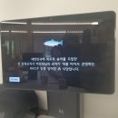 강원수산 | 강원수산횟집(미탄)/싱싱한 송어를 볼수있고 싱싱한송어회 먹을수있어요(5.24)