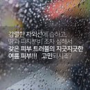 자이성형외과의원 이미지