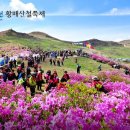 4월에 가볼만한 전국 축제일정 모음 이미지