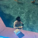 노랑김밥 이미지