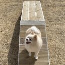 겟풀(GETPOOL) 이미지