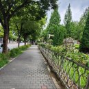 포동펫살롱 이미지