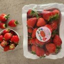 문백농장 이미지