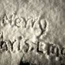 둥지조산원 이미지