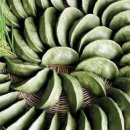 행복한 노래연습장 이미지