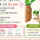 [5월 재능나눔] 처음 시작하는 라탄공예 소품 만들기 | 🌿 손으로 엮는 초록 감성, 「미니 라탄 화병 만들기」 참여자 모집!