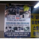 크린세차장 이미지