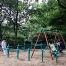 팀훅 복싱&주짓수 이미지