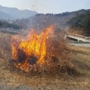 황놀부 농장 네이버블로그