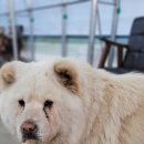 바위골 낚시터 이미지