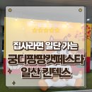 요미캣 고양이분양 일산점 | 집사라면 무조건 가야하는 궁디팡팡 캣페스타 일산 킨텍스 방문후기