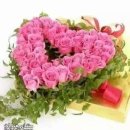 봄날태권도 이미지