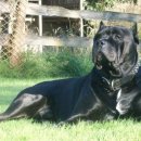 도고농장 이미지